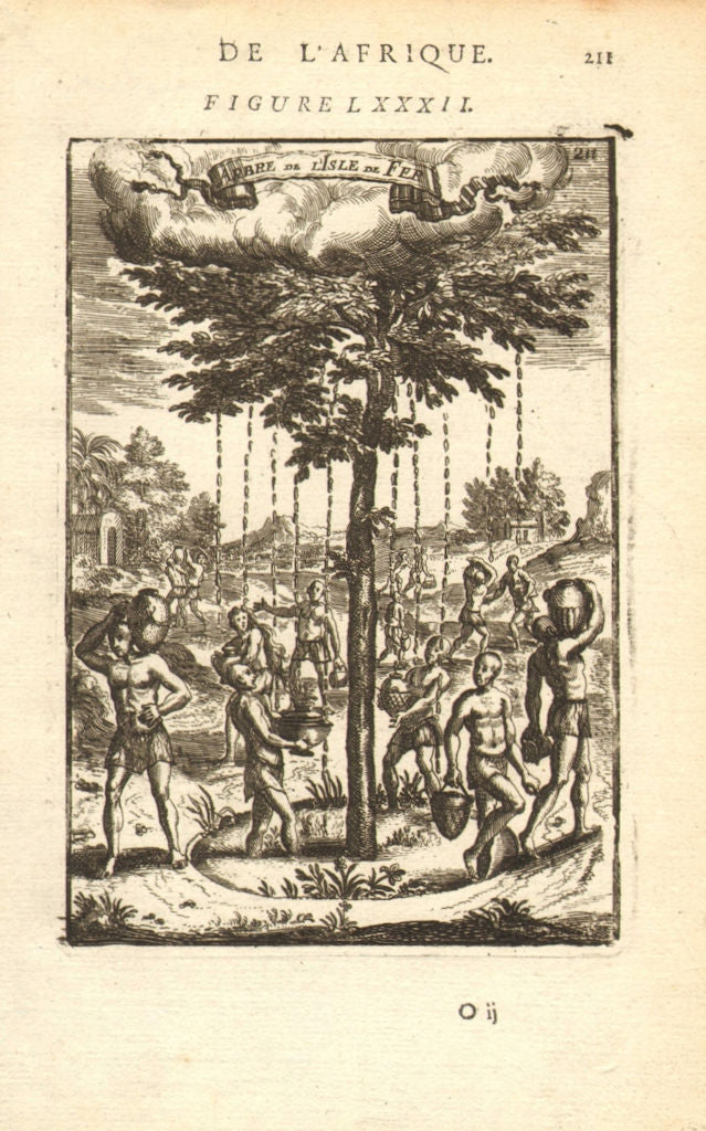 RAIN TREE OF EL HIERRO. Garoé. 'Arbre de l'Isle de Fer'. Canarias. MALLET 1683